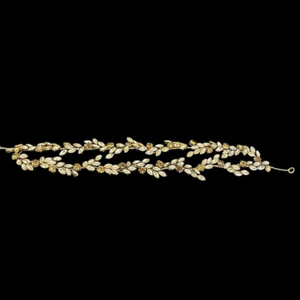 Golden Halo Vine - Image 3